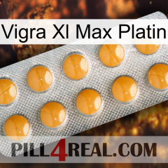Vigra Xl Max Platinum levitra1